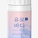 바디S 이미지