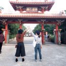 블루네이션