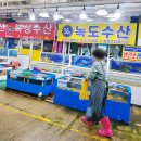 대천항로 | [대천여행/대천맛집/보령횟집/대천항/대천수산시장/도다리] 녹도수산 솔직후기