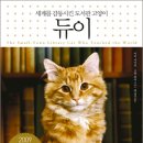 리드모어 이미지