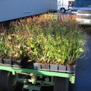 남부농장 이미지