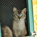 서림동물병원 이미지