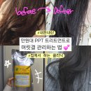 집에서 머릿결 관리 하는 법 이엑스 세라마이드 PPT 트리트먼트