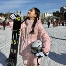 핑크언니PET샵 | 용평 리조트 렌탈샵 추천 뽀드득 용평 스키장 후기