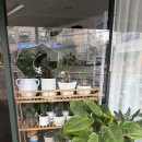 순천알파문구 | 순천꽃집 추천 더봄플라워에서 예쁜 꽃다발 선물 맞춤 제작 🌸💜