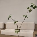 마음봄정신건강의학과의원 이미지