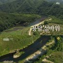 주홍민박 이미지