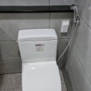 삼보신우 이미지