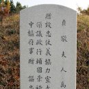 신점선생묘 이미지