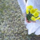 장사랑연합내과의원 이미지