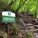 수인야영장 이미지