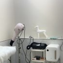 여울그루밍 이미지