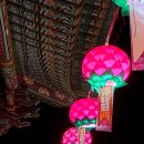다이소경북 - 2464 | 다이소경북