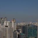 713 이미지