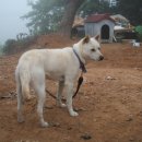 바람아래팜스테이 이미지