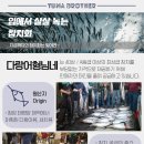 다랑어참치회 이미지