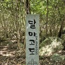 청일로 산벚나무길 | 해남 달마고도 완주 후기, 미황사에서 시작하는 달마산 명품길