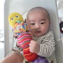 인형속으로 | 라마즈 애벌레 인형세트 프리미엄(5종)구성 및 사용 후기