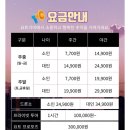 부산 요트투어 광안리 광안대교 일몰 야경명소 가격 꿀팁 내돈내산 후기