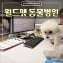현대수산동물병원 | 강아지 입냄새 원인 치주염 푸들 스케일링 소요시간 | 부천치과동물병원 월드펫동물병원