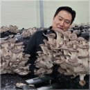 여우골농장 티스토리