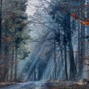 태릉입구역 3번출구 버스정류장 이미지