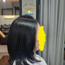 대구미장원 - 울진군 | 대구미장원