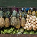 우리건강식품 이미지