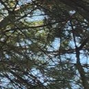 최우식노즈립성형외과의원 이미지