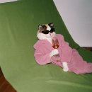 멘탈 리셋(자기탐구) | [마포] 이소피부가꿈셀베인PDRN프로그램리셋부스터 👩🏻‍🦲 이소피부가꿈홍대