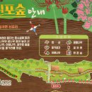 칠곡면신포숲 이미지