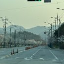 마라야기업도시점 이미지