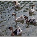 수성랜드 이미지