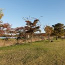 강릉경포그리고바다 이미지