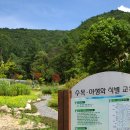 좌구산자연휴양림 이미지