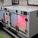 반딧불 동물병원 이미지