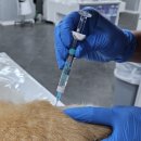 (주)벡스퍼트 이미지