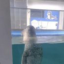 황부자네 이미지