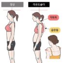 위짐 이미지
