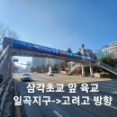 숭어축제 이미지