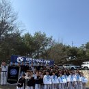 용인대 태풍태권도장 이미지