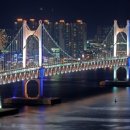 닥스결혼정보 이미지