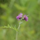 곰골산촌 이미지