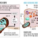 사당건강약국 이미지