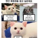 속초밤하늘글램핑 이미지