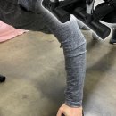 플란체하우스