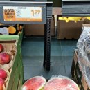 SPAR편의점 | [유학생활] Juli 2025 Fotodump