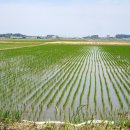 부안농장 이미지