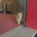 마중모텔 이미지