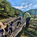 호계초교병설유치원 이미지